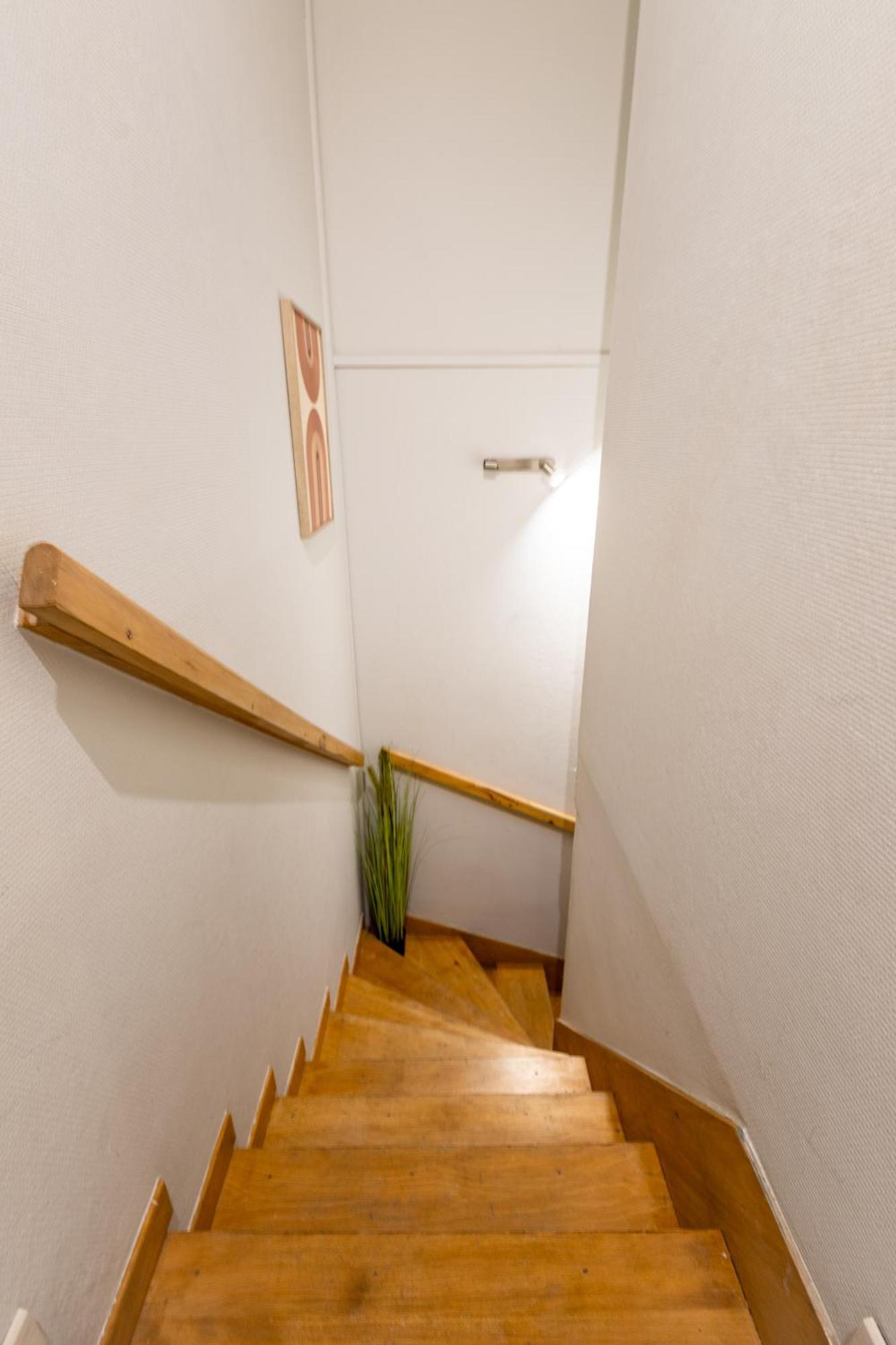 Le Canope - T3 Duplex, 2 Salles D'Eau, Hypercentre Кастр Екстериор снимка