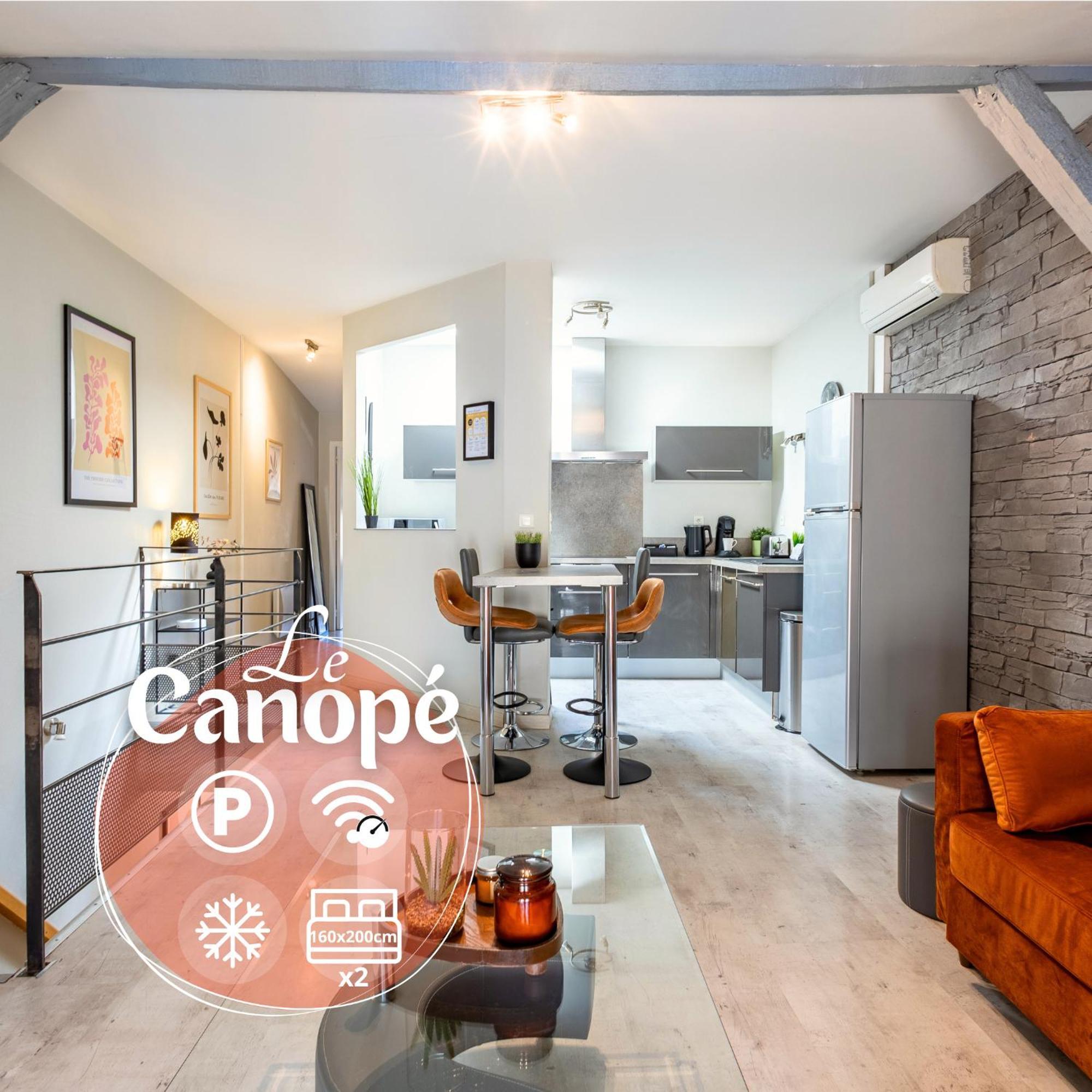 Le Canope - T3 Duplex, 2 Salles D'Eau, Hypercentre Кастр Екстериор снимка